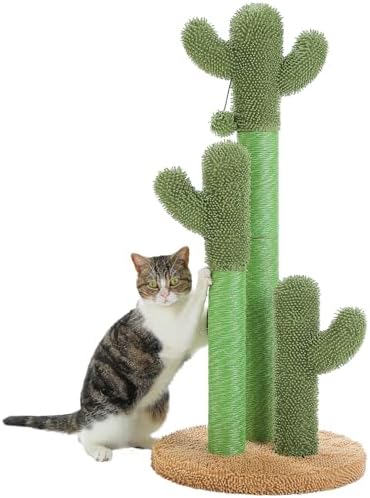 PAWZ Road Cactus Cat Scratching Post 35”Cat Scratcher by PAWZRoad