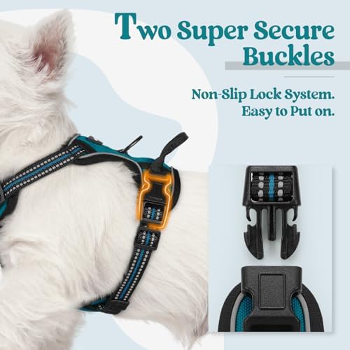 rabbitgoo Dog Harness, No Pull for Small Dogs - Image 3