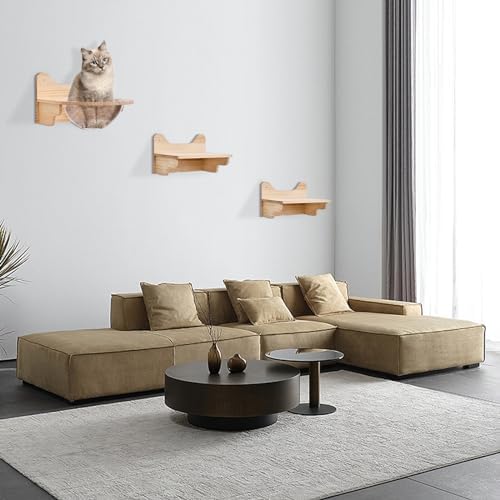 Space Capsule Style Transparent Cover Cat Bed, Wall Mounted Cats Shelf House - Image 3