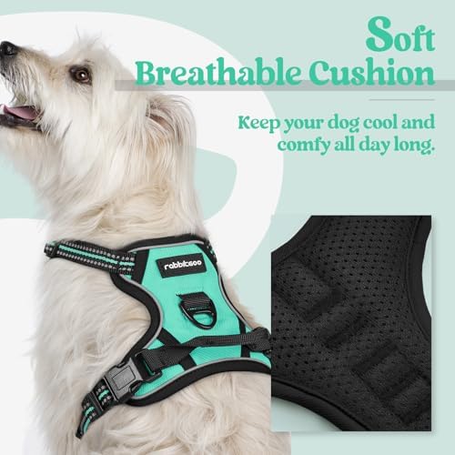 rabbitgoo Dog Harness, No Pull for Small Dogs - Image 2