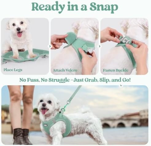 rabbitgoo Dog Harness Medium Sized and Leash Set, Step-in Puppy Pet Vest - Image 5
