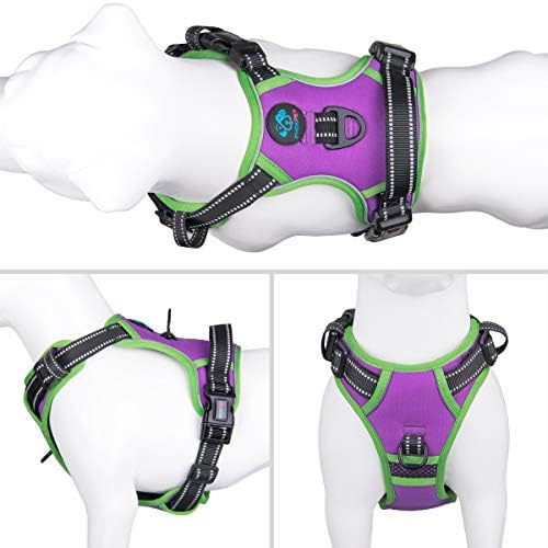 PHOEPET No Pull Dog Harnesses for Small Dogs Reflective Adjustable - Image 2