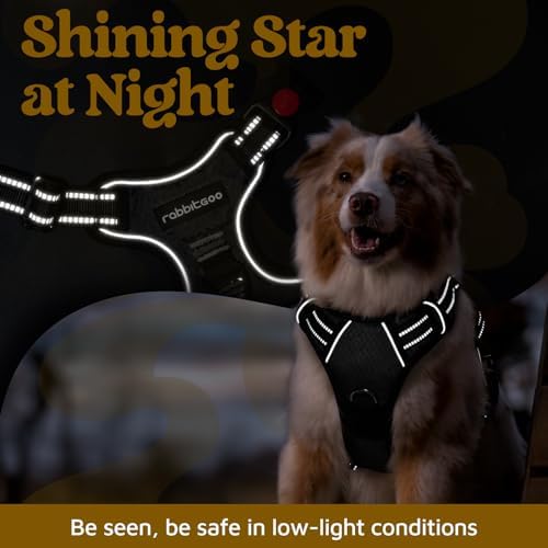 rabbitgoo Dog Harness Small Sized, No Pull 3 Buckles Easy On & Off - Image 6