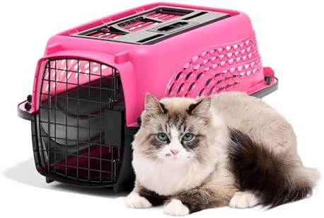 Petmate Two Door Plastic Pet Kennel, XS 19in - Image 2