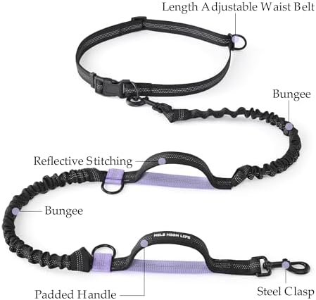 Mile High Life Hands Free Leash, Waist Leash - Image 4
