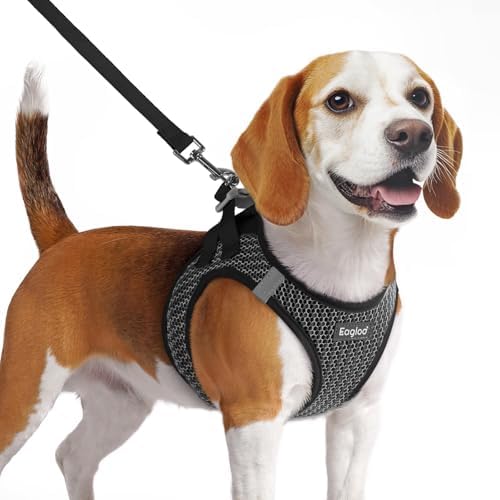 Eagloo Small Dog Harness and Leash Set, Step in Medium Small Puppy Pet Vest by GoExplorewithEagloo