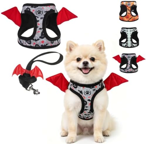 BEAUTYZOO Small Dog Harness and Leash Set, Step in No Choke No Pull Soft Mesh by BEAUTYZOO