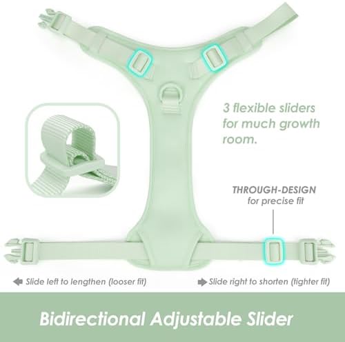 Sunraymascota No Pull Dog Harness - Image 5