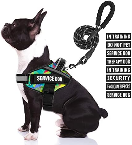 Service Dog Vest Harness and Leash Set, Animire in Training Dog Harness by Animire