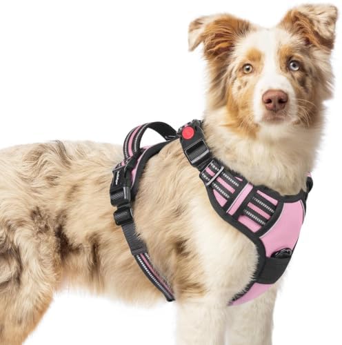 rabbitgoo Dog Harness Medium Sized, Updated Easy On & Off by rabbitgoo