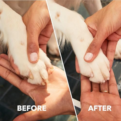 Dremel Pet Grooming Nail Guard Attachment - Image 5