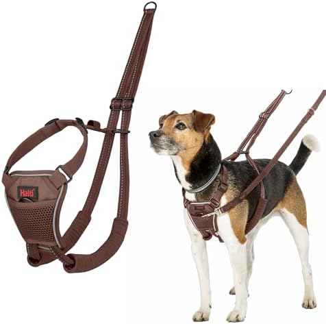 Halti No Pull Dog Harness | Size S, Deep Walnut by Halti