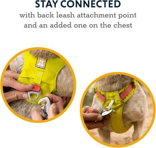Ruffwear, Hi & Light Dog Chest Harness, Alpenglow Pink - Image 5