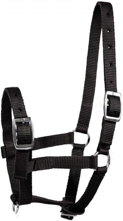 HORZE Adjustable Nylon Horse Halter for Foals, Colts, Fillies, Mini Horse Halter | Comfortable Small Horse Halter with Sturdy Buckles - Black - Foal