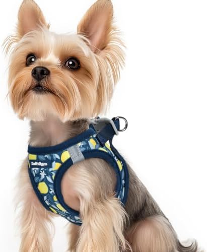 rabbitgoo Step-in Small Dog Harness, Puppy Vest by rabbitgoo