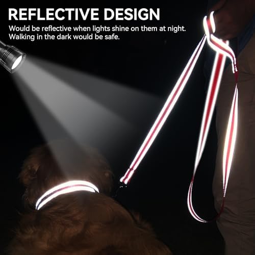 Joytale Reflective Dog Leash for Small Dogs, 6 FT x 3/4" - Image 4