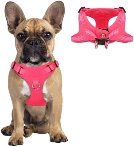 BARKBAY Dog Harness Medium Sized Dog, No Pull Puppy Harness, Step-in Dog Vest by BARKBAY
