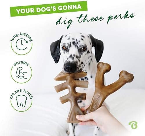 Benebone 2-pack Fishbone/Wishbone Durable Dog Chew Toys, Dog Bones - Image 3
