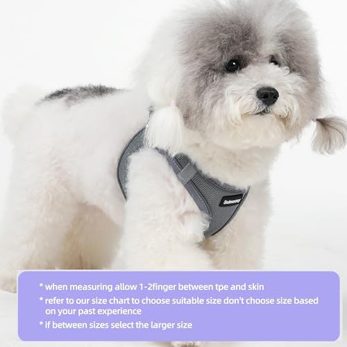 Solmoony Sparkly Medium Dog Harness and Leash Set, Step in Soft Light Puppy Vest - Image 2