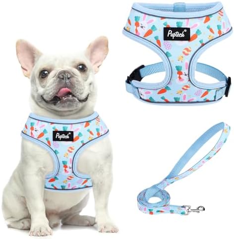 PUPTECK Small Dog Harness and Leash Set No Pull by PUPTECK