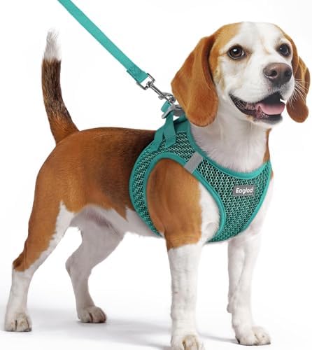 Eagloo Small Dog Harness and Leash Set, Step in Medium Small Puppy Pet Vest by GoExplorewithEagloo