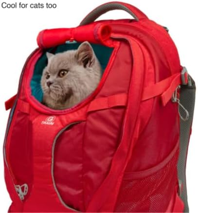 Kurgo G-Train Pet Carrier Backpack - Image 5
