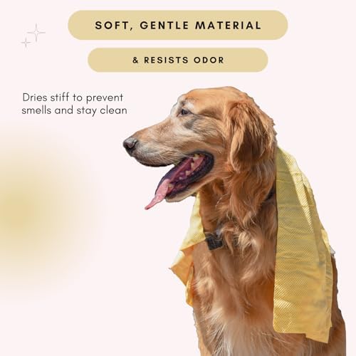 HydroSwipe for Dogs - Image 4