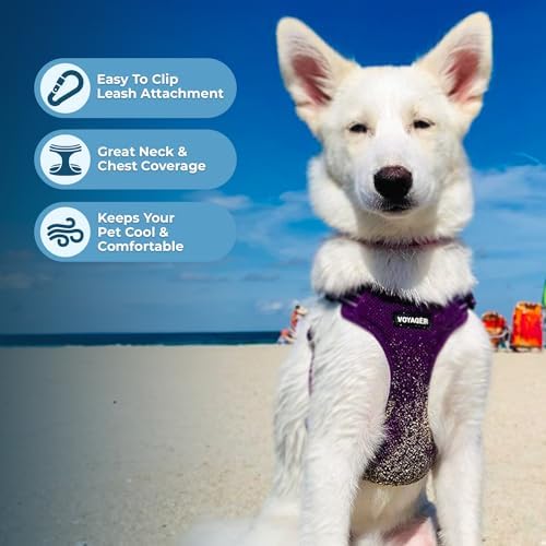 Voyager Step-in Flex Adjustable Dog Harness - Image 5