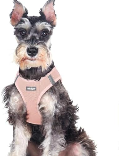 rabbitgoo Step-in Small Dog Harness, Puppy Vest by rabbitgoo