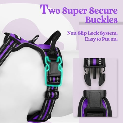 rabbitgoo Dog Harness, No Pull Medium Sized - Image 3