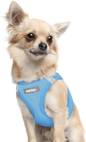 rabbitgoo Step-in Small Dog Harness, Puppy Vest by rabbitgoo