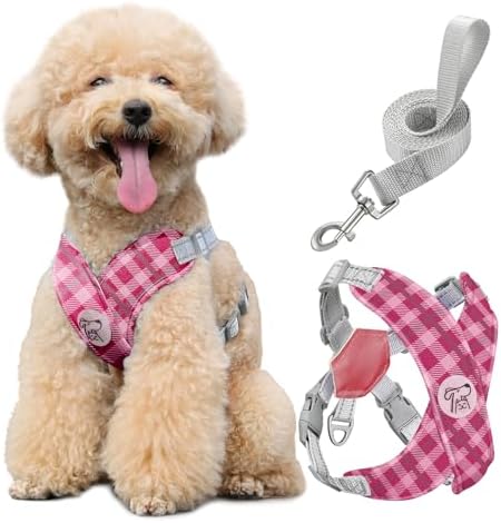 Pawaboo Small Dog Harness and Leash Set, Puppy Harness X-Frame Adjustable by Pawaboo