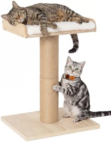 25.2" Cat Scratching Post with Bed, Cat Scratcher by KinoTail