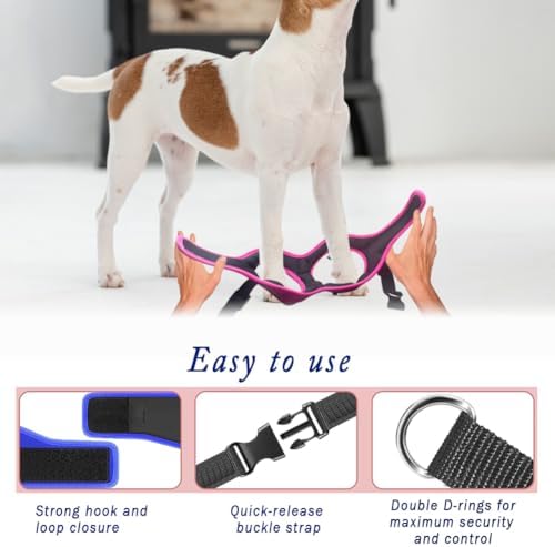 Comfort Fit No Pull Dog Harness - Image 6