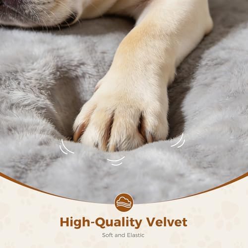 Lekereise Outdoor Elevated Dog Beds - Image 3