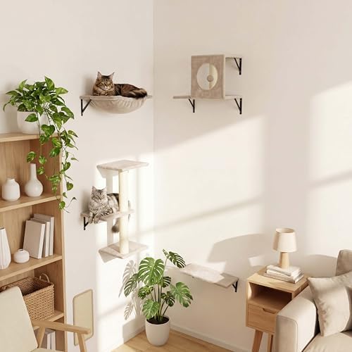 Cat Wall Shelves, Cat Wall Mounted Furniture, Climbing Wall Systems - Image 4