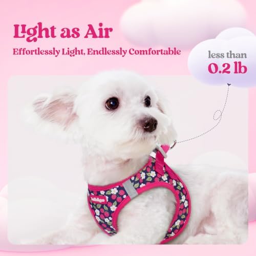 rabbitgoo Dog Harness Medium Sized and Leash Set, Step-in Puppy Pet Vest - Image 3