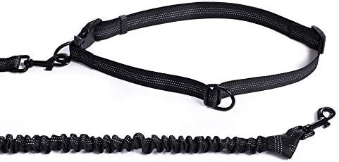 Mile High Life Hands Free Leash, Waist Leash - Image 3