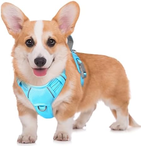 BARKBAY No Pull Dog Harness Large Reflective Dog Harness by BARKBAY
