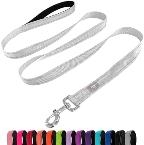 6 FT Basic Dog Leash for Medium Dogs by Penseepet