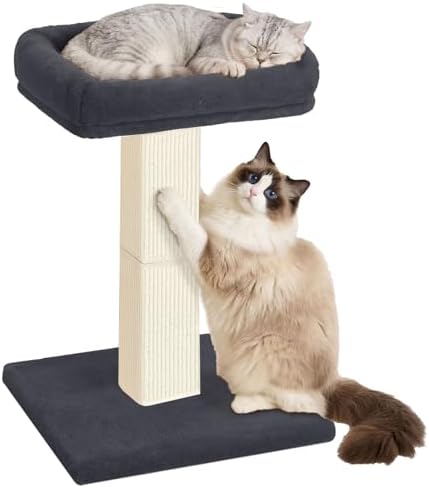 Cat Scratching Post with Plush Perch by AGYM