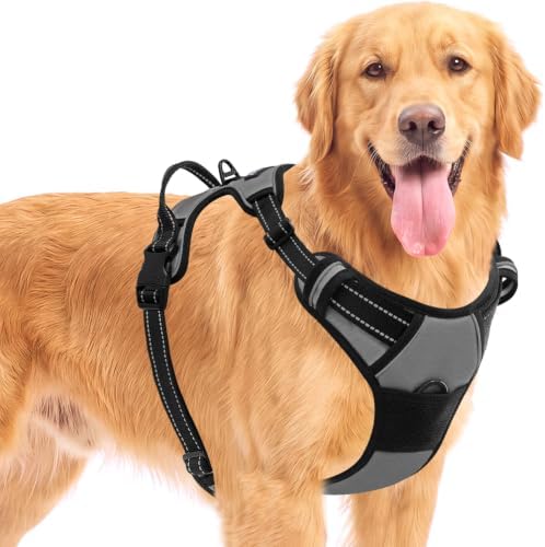 BARKBAY Dog Harness for Large Dog No Pull 2 Leash Clips Dog Vest by BARKBAY