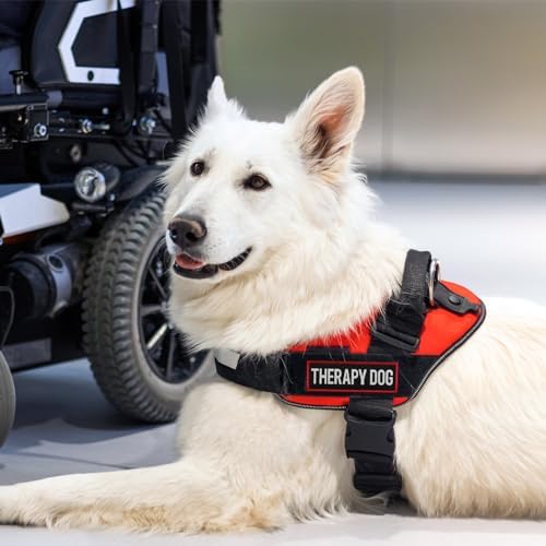 2 Pcs Reflective Therapy Dog Patch Set - Image 7