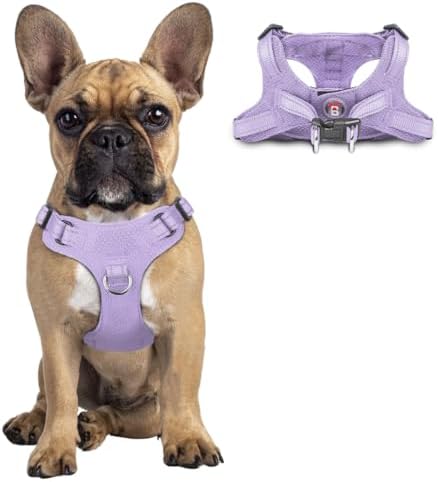 BARKBAY Dog Harness Medium Sized Dog, No Pull Puppy Harness, Step-in Dog Vest by BARKBAY