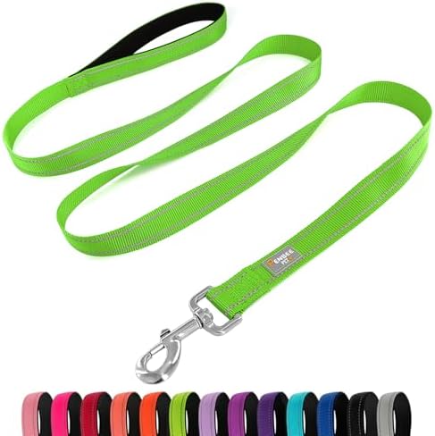 6 FT Basic Dog Leash for Medium Dogs by Penseepet