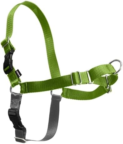 PetSafe Easy Walk Harness, No Pull Dog Harness, Apple Green, Medium/Large by PetSafe