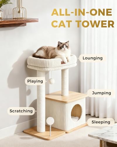 Small Cat Tree for Indoor Kittens - Image 4