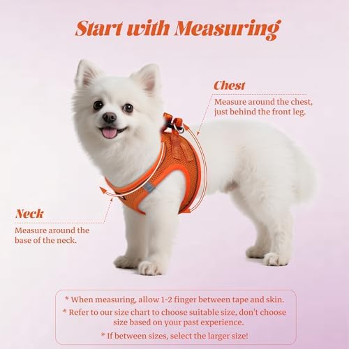 No Pull Dog Puppy Harness and Leash Set Reflective Mesh Vest Large - Image 2