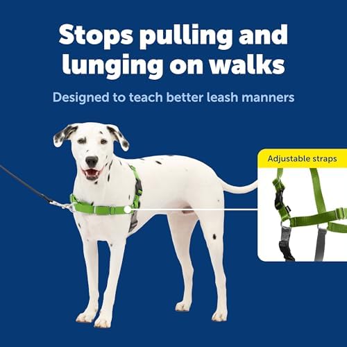 PetSafe Easy Walk Harness, No Pull Dog Harness, Apple Green, Medium/Large - Image 3
