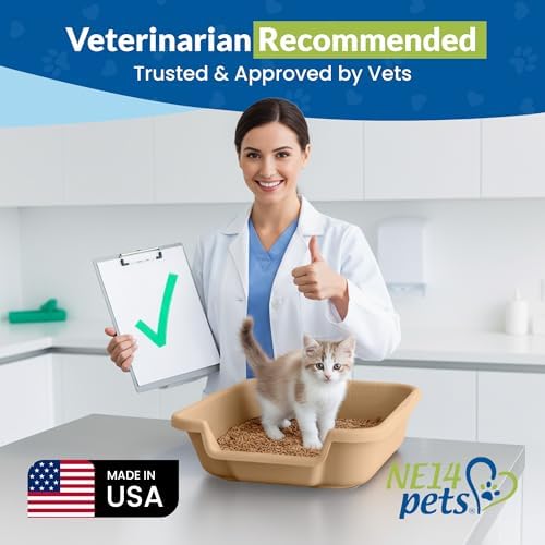 KittyGoHere Senior Cat Litter Box, Small Pan, 2 Pack Beach Sand - Image 4